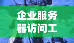 企业服务器访问工具是企业为了管理、监控和保护企业服务器的访问权限而开发的重要系统。通过这些工具,企业可以有效预防和响应访问威胁,确保服务器运行稳定且数据安全。以下是对企业服务器访问工具的详细介绍