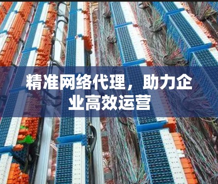 精准网络代理,助力企业高效运营