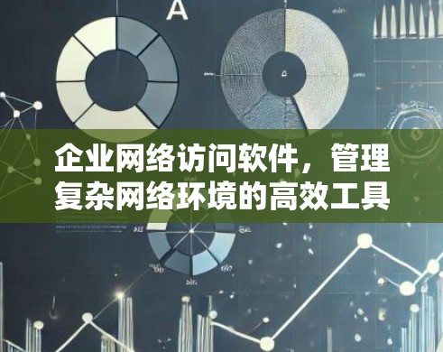 企业网络访问软件,管理复杂网络环境的高效工具 企业网络访问软件,管理复杂网络环境的高效工具