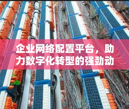 企业网络配置平台,助力数字化转型的强劲动力 企业网络配置平台,助力数字化转型的强劲动力