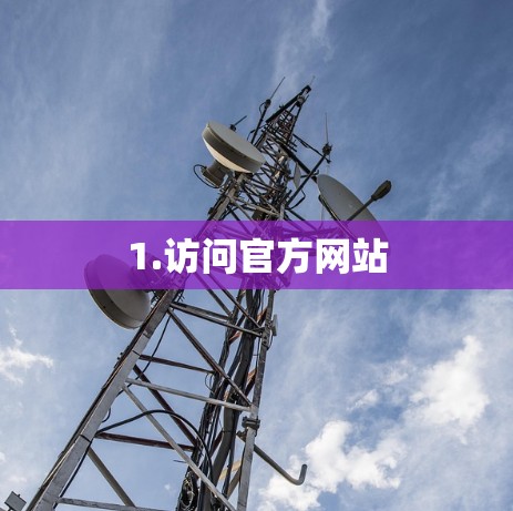 1.访问官方网站