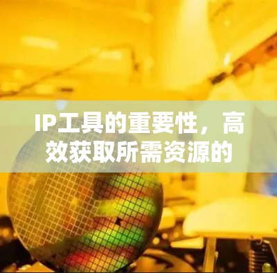 IP工具的重要性，高效获取所需资源的必备神器