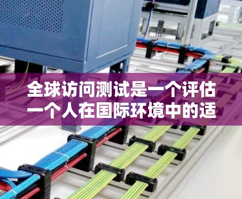 全球访问测试是一个评估一个人在国际环境中的适应能力和适应能力水平的综合测试。以下是测试的主要组成部分及其详细分析