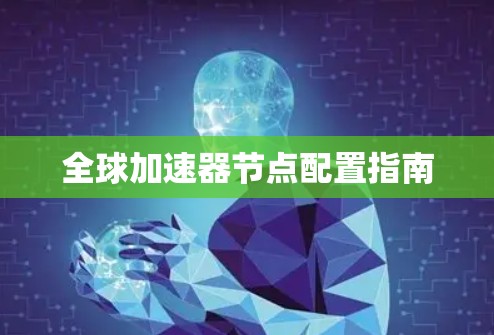 全球加速器节点配置指南