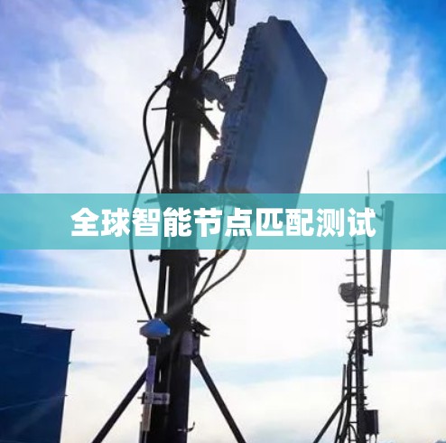 全球智能节点匹配测试