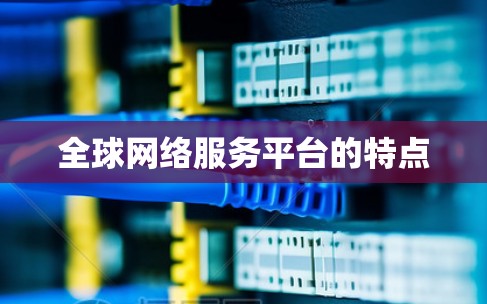 全球网络服务平台的特点