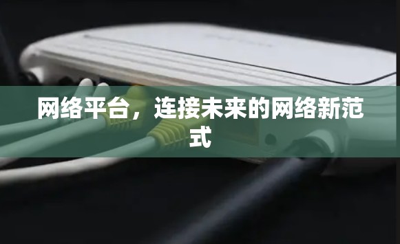 网络平台,连接未来的网络新范式