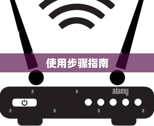 使用步骤指南
