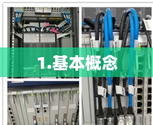 1.基本概念