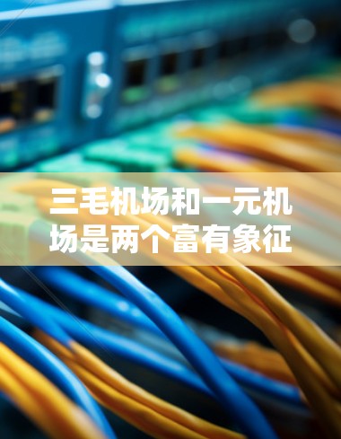 三毛机场和一元机场是两个富有象征意义的设定，分别代表着温暖、舒适和简单高效的生活体验，它们的结合则带来一种平衡和舒适的生活状态