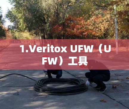1.Veritox UFW(UFW)工具