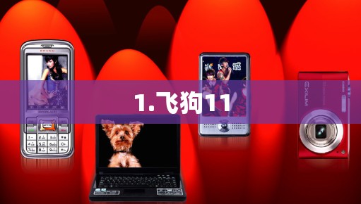1.飞狗11 1.飞狗11