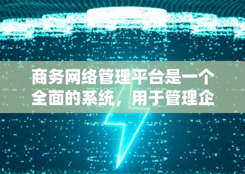 商务网络管理平台是一个全面的系统，用于管理企业和组织之间的网络连接，确保数据的安全、可靠和高效。以下是该平台的主要功能及其核心组件