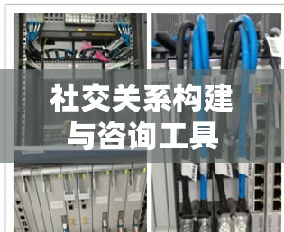 社交关系构建与咨询工具