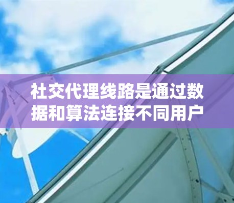 社交代理线路是通过数据和算法连接不同用户，形成更紧密的社交关系的一种系统。以下是关于社交代理线路的详细说明