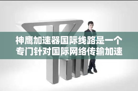 神鹰加速器国际线路是一个专门针对国际网络传输加速的软件或硬件设备。为了获取详细信息，建议以下步骤