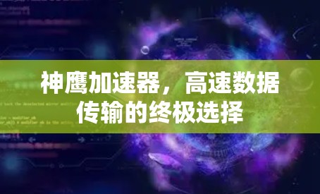 神鹰加速器，高速数据传输的终极选择