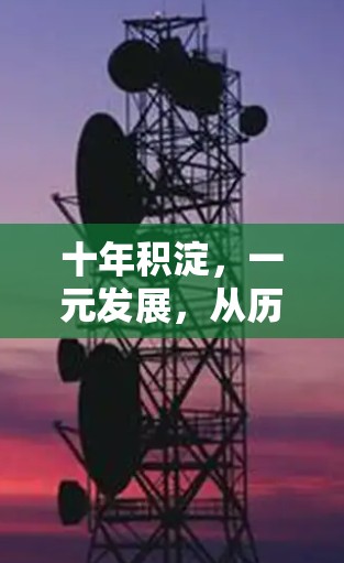 十年积淀,一元发展,从历史到未来 十年积淀,一元发展,从历史到未来