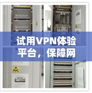 试用VPN体验平台，保障网络可信度的数字防护方案