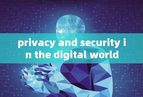 privacy and security in the digital world