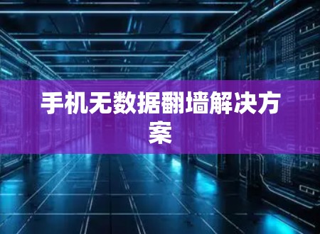 手机无数据<strong>翻墙</strong>解决方案
