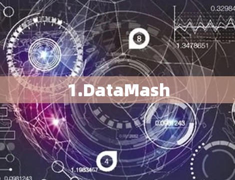 1.DataMash