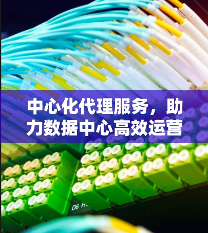 中心化代理服务,助力数据中心高效运营的智能解决方案 中心化代理服务,助力数据中心高效运营的智能解决方案