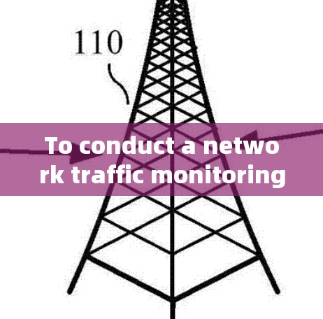 To conduct a network traffic monitoring test on your data center,follow this organized approach: