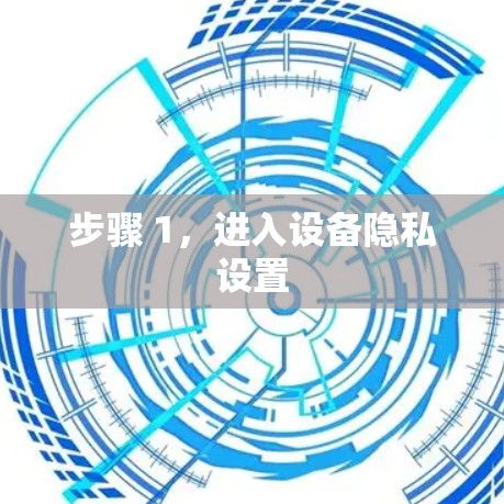 步骤 1，进入设备隐私设置