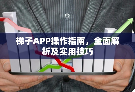 梯子APP操作指南，全面解析及实用技巧