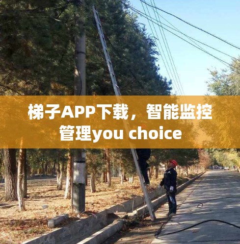 梯子APP下载,智能监控管理you choice