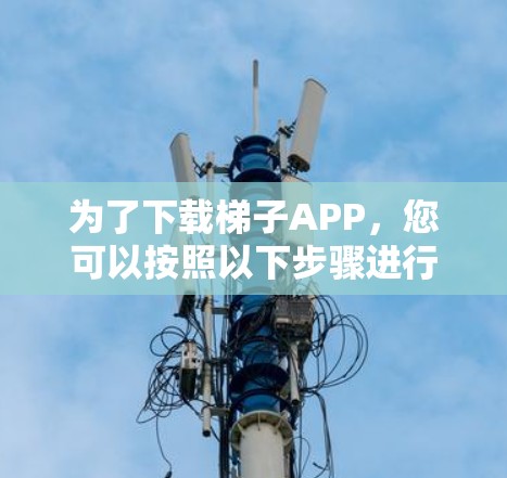 为了下载梯子APP,您可以按照以下步骤进行