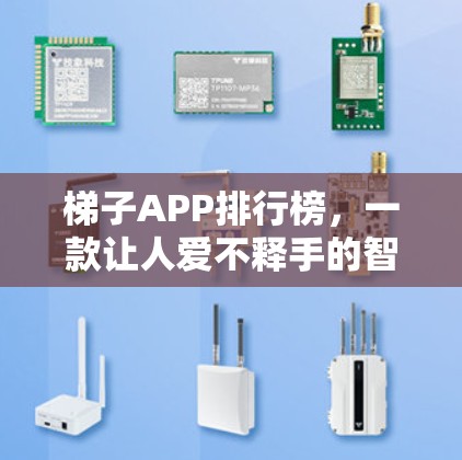 梯子APP排行榜,一款让人爱不释手的智能出行解决方案