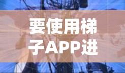 要使用梯子APP进行管理，您可以按照以下步骤进行操作