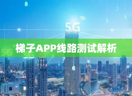 梯子APP线路测试解析