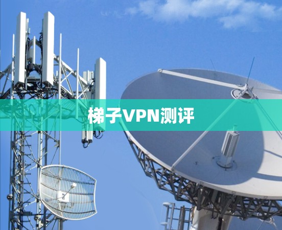 梯子VPN测评