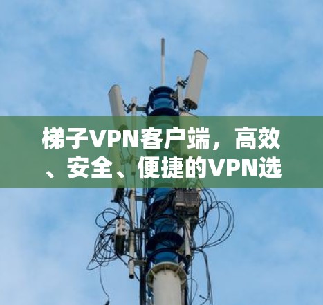 梯子VPN客户端,高效、安全、便捷的VPN选择