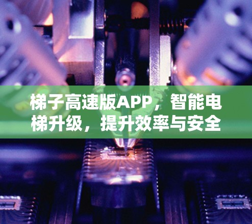 梯子高速版APP,智能电梯升级,提升效率与安全