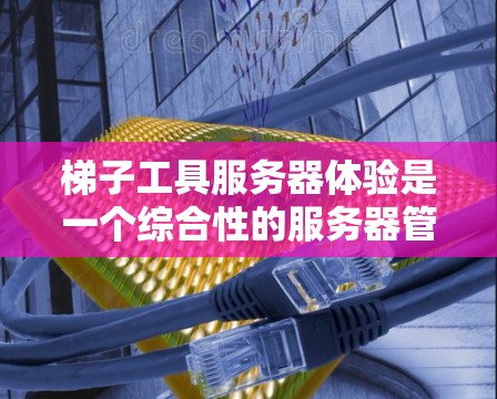 梯子工具服务器体验是一个综合性的服务器管理工具,主要由以下几个方面组成