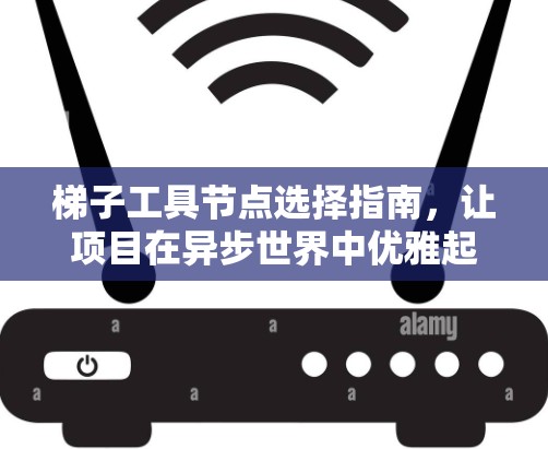 梯子工具节点选择指南，让项目在异步世界中优雅起舞
