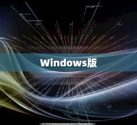 Windows版