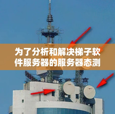 为了分析和解决梯子软件服务器的服务器态测速问题，我们可以按照以下步骤进行