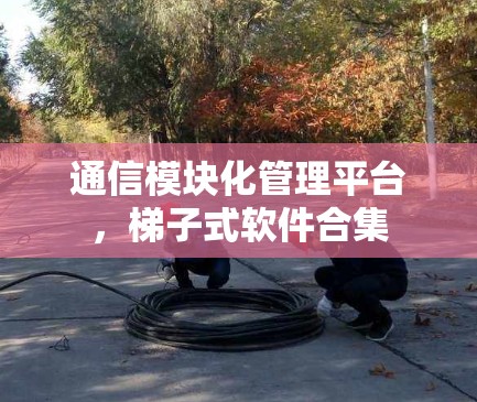 通信模块化管理平台,梯子式软件合集 通信模块化管理平台,梯子式软件合集