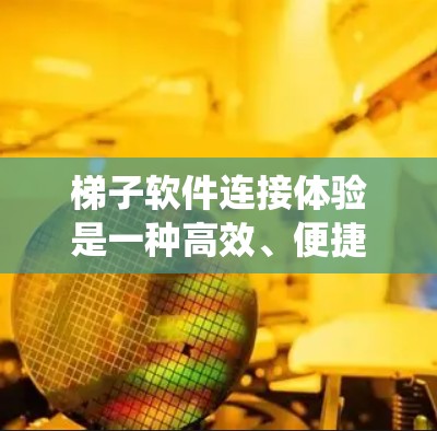 梯子软件连接体验是一种高效、便捷的软件系统连接方式，通过自动处理多种任务，减少用户的工作量，提升系统效率和用户体验。这种体验主要体现在以下几个方面