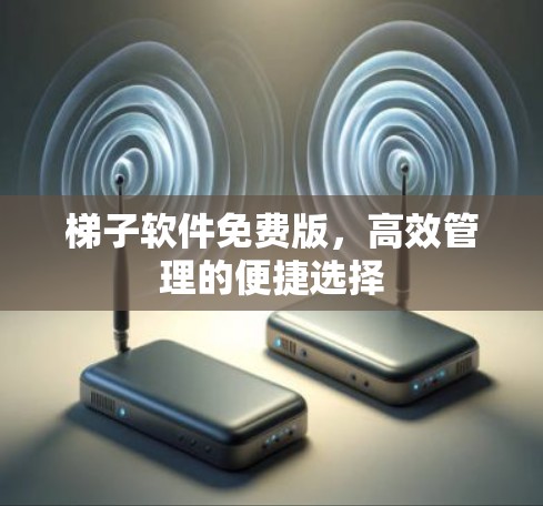 梯子软件免费版，高效管理的便捷选择