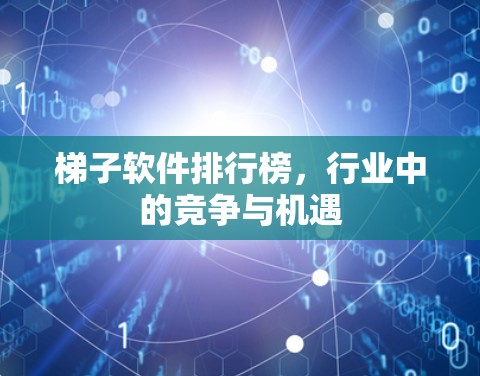 梯子软件排行榜，行业中的竞争与机遇