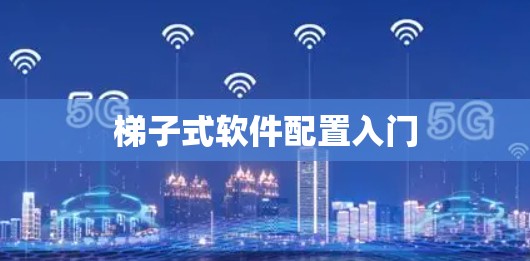 梯子式软件配置入门