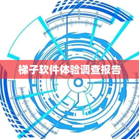 梯子软件体验调查报告