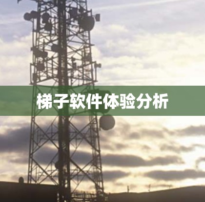梯子软件体验分析