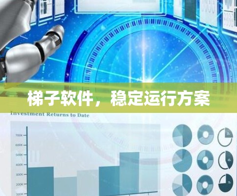 梯子软件,稳定运行方案